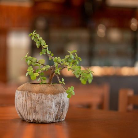 Hotel Muyu Tulum Ngoại thất bức ảnh