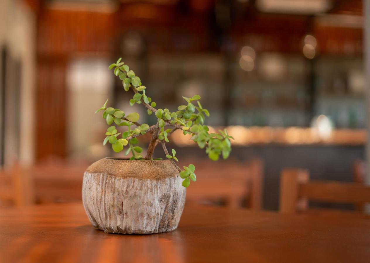 Hotel Muyu Tulum Ngoại thất bức ảnh